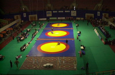 Sporttevékenységek számára gyártott sportszőnyegek, LEPORELLÓ szőnyeg White Raven Wrestling Kft